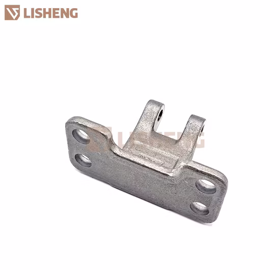 CNC 레이저 금속 절단기/금속 가공 서비스/강철